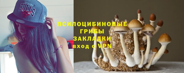 таблы Алексеевка