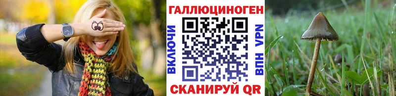 Псилоцибиновые грибы Cubensis  Кулебаки 